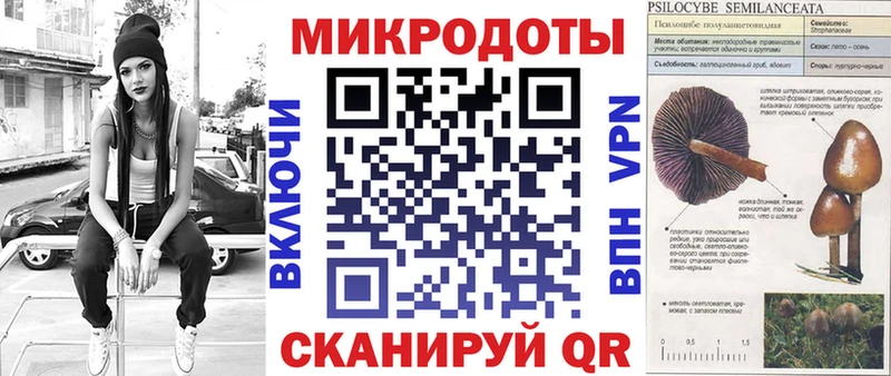 Галлюциногенные грибы GOLDEN TEACHER  продажа наркотиков  Павловск 